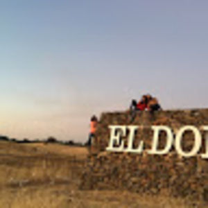 Meet your Posher, Lexi